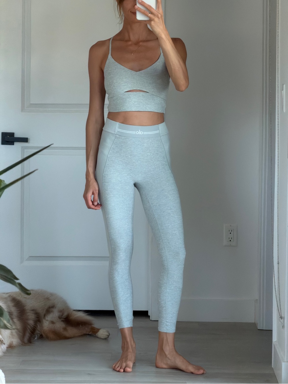 Alo Yoga Sports Bra & Leggings Set